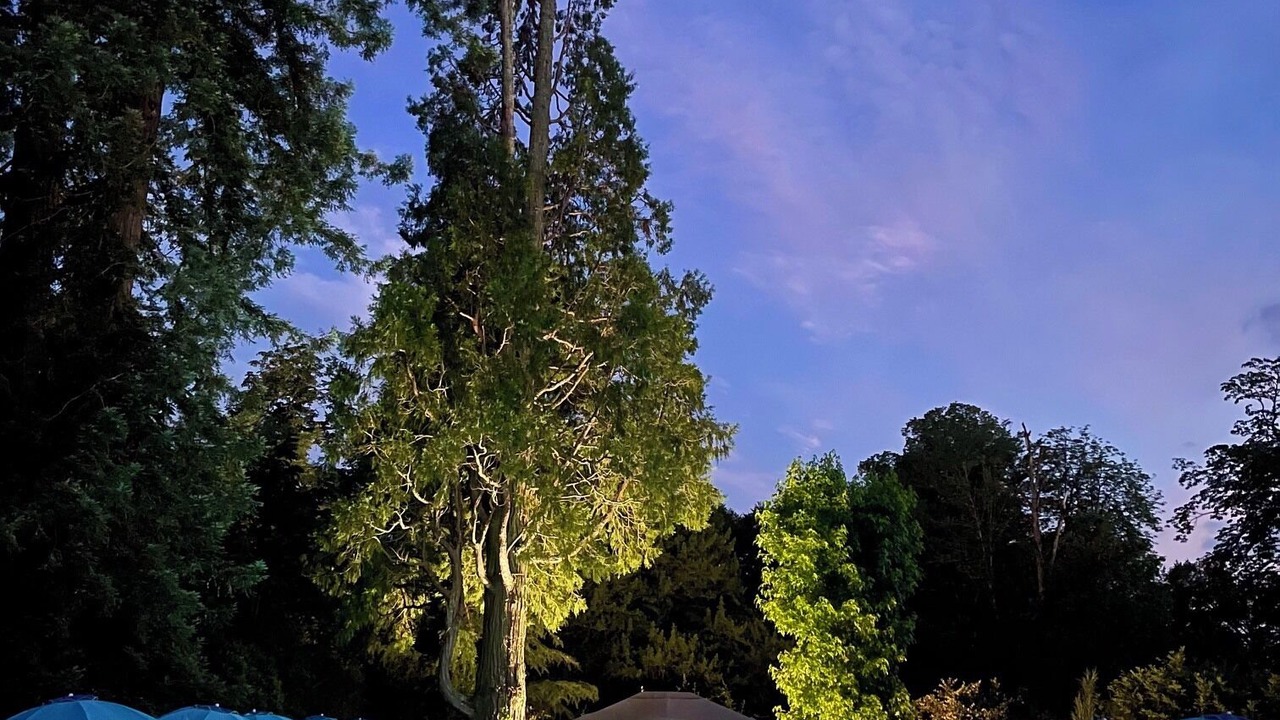 Photo of Outdoor in Saint-Pantaleon-de-Larche