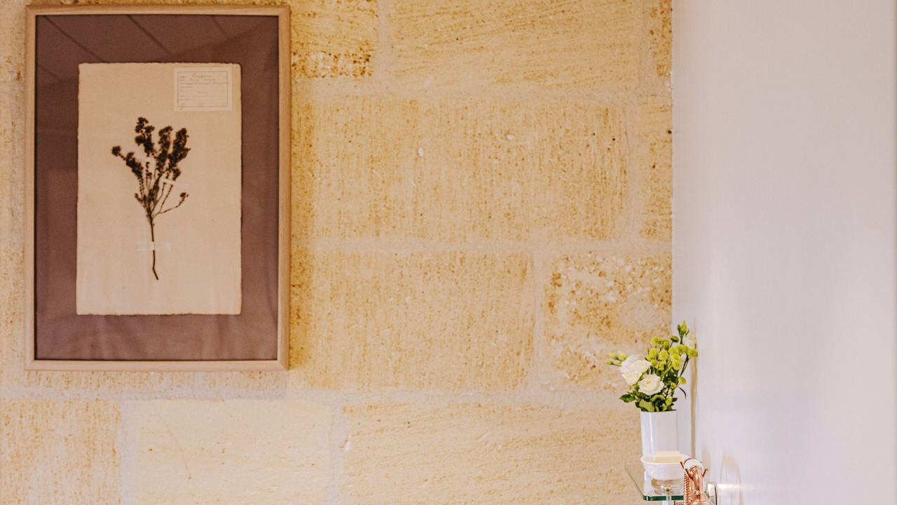 Photo of Others in Saint-Emilion