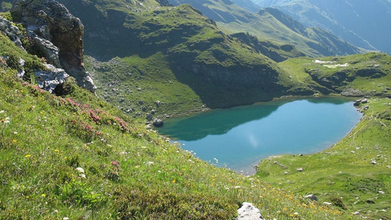 Photo of Others in Montgellafrey