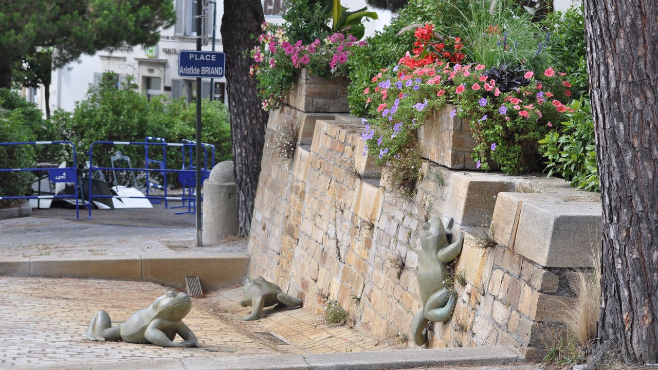 Photo of Outdoor in Carquefou