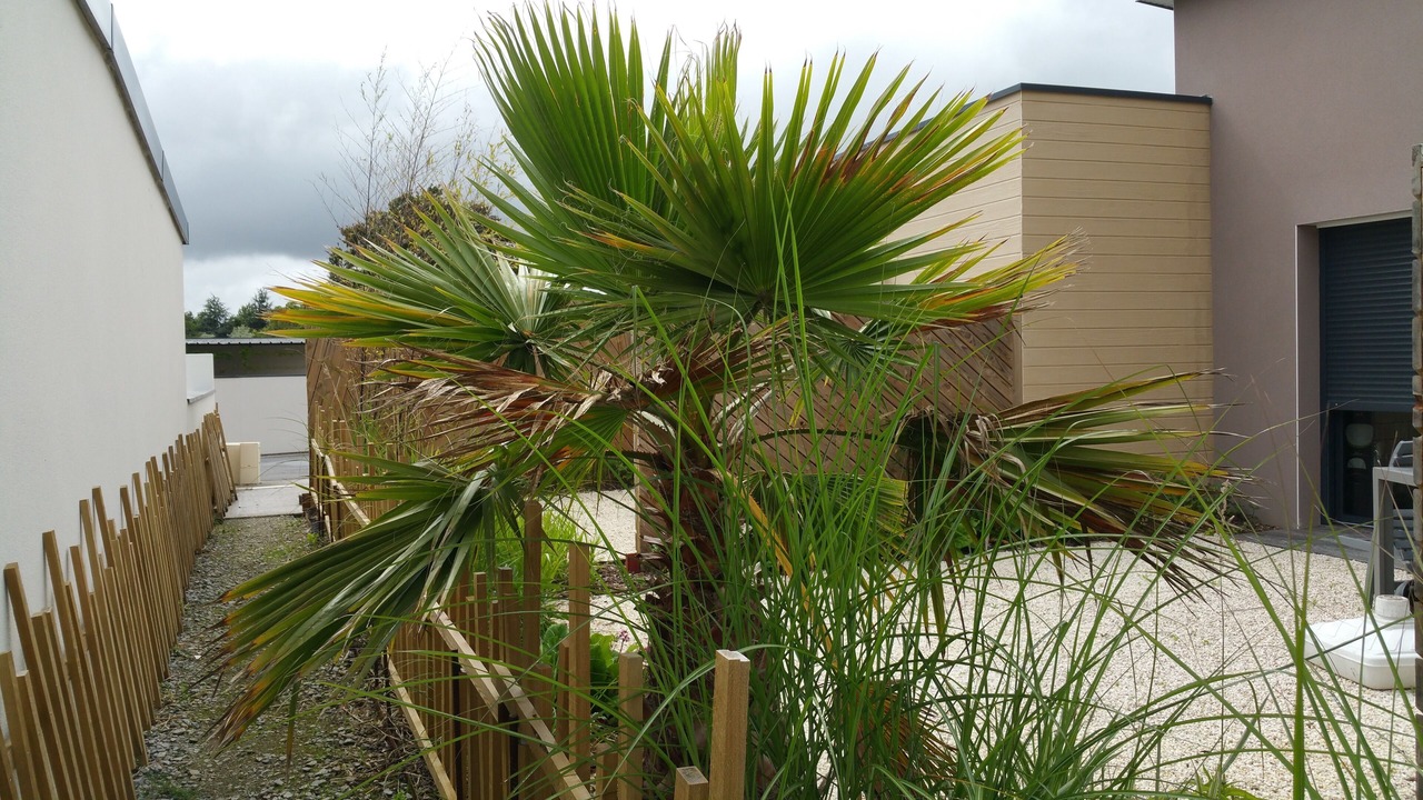 Photo of Outdoor in Carquefou