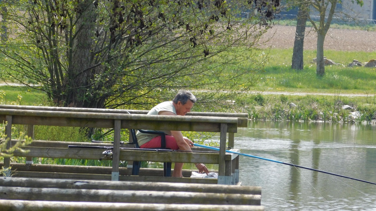 Photo of Others in Saint-Denis-du-Maine
