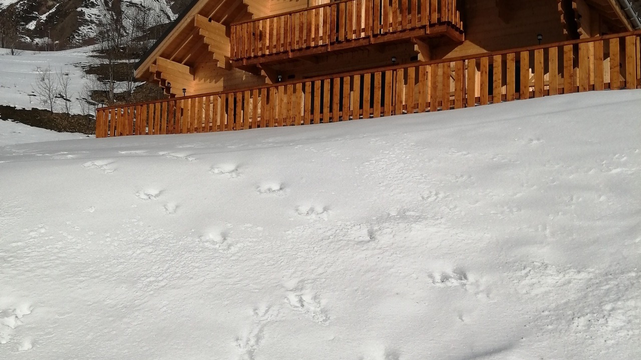 Photo of Outdoor in Jarrier