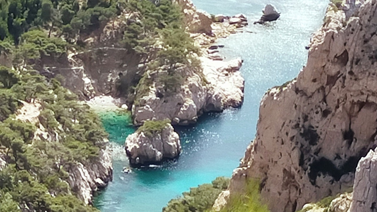 Photo of Others in La Pointe Rouge