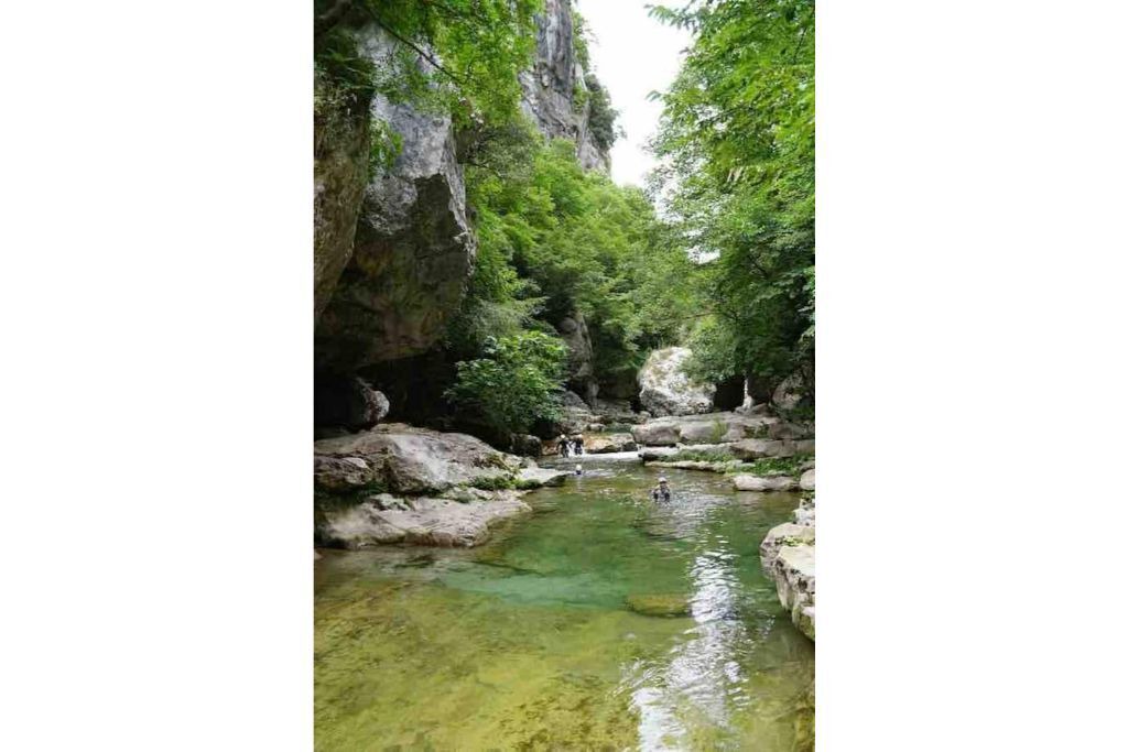 Photo of Others in Greolieres