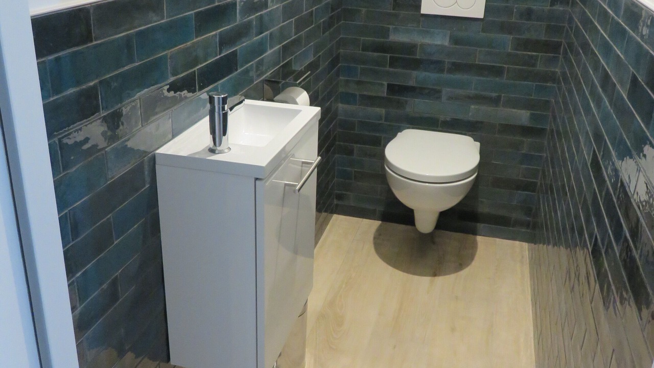 Photo of Bathroom in Barbatre