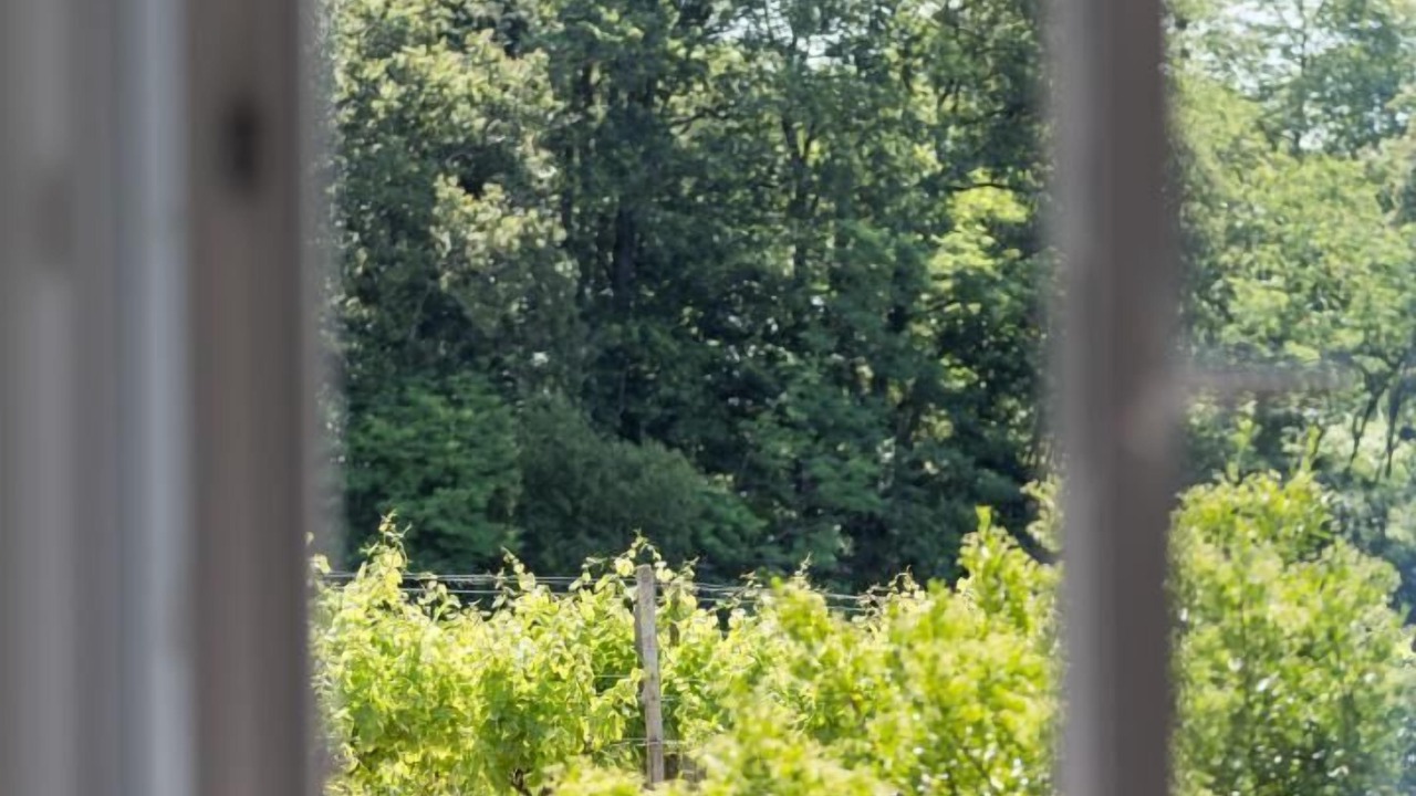 Photo of Others in Benesse-les-Dax