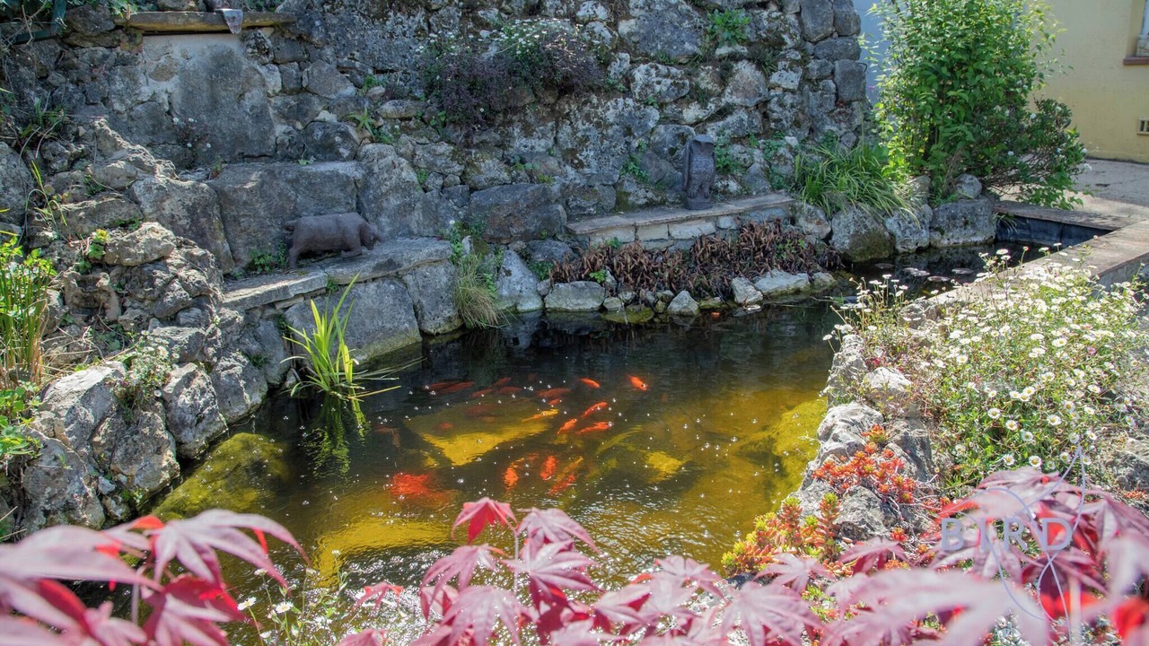 Photo of Outdoor in Le Rouret
