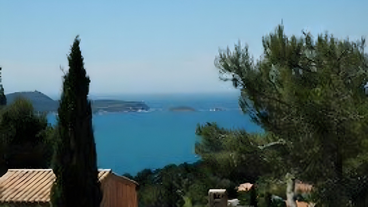 Photo of Others in Hyeres