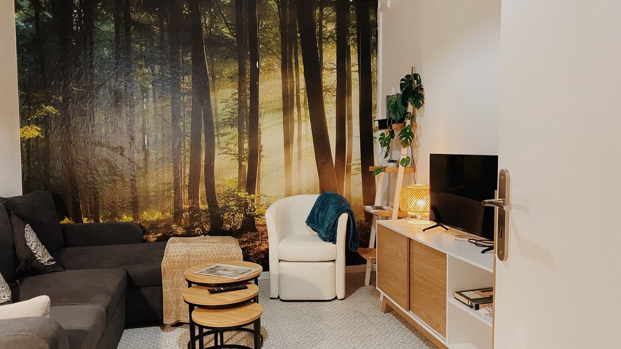 Photo of Livingroom in Centre Ville