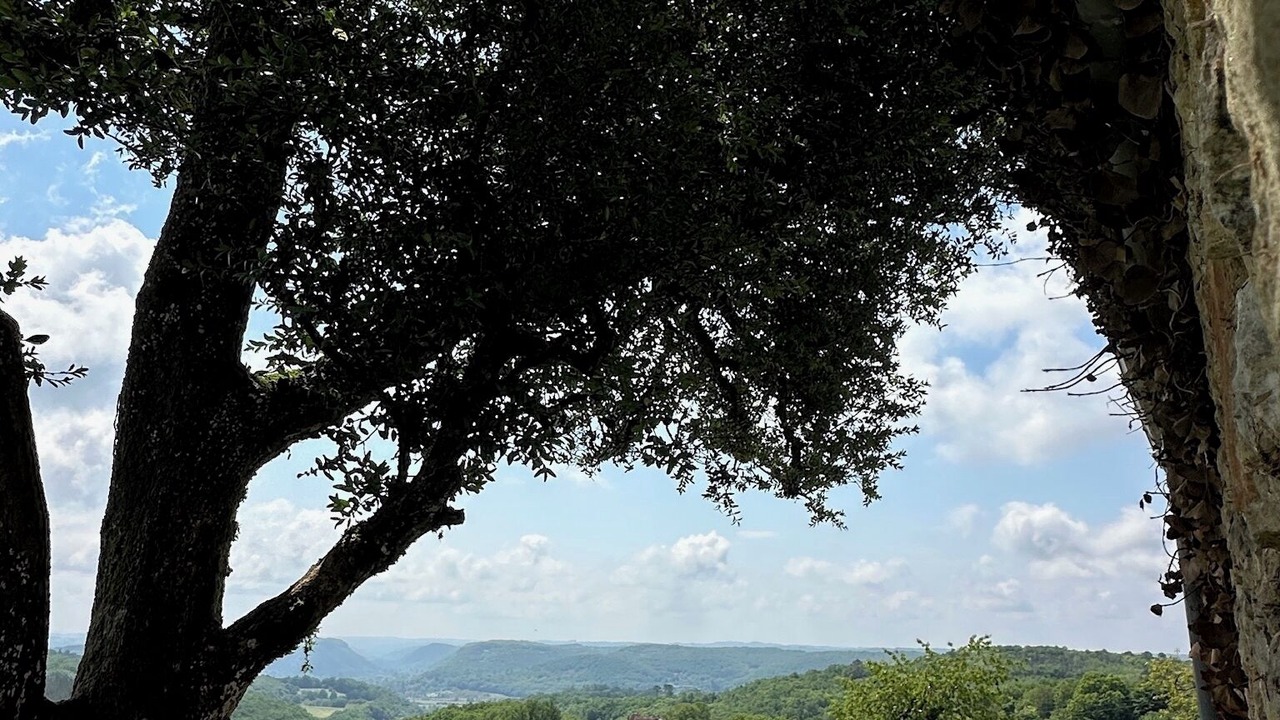 Photo of Outdoor in Beynac-et-Cazenac