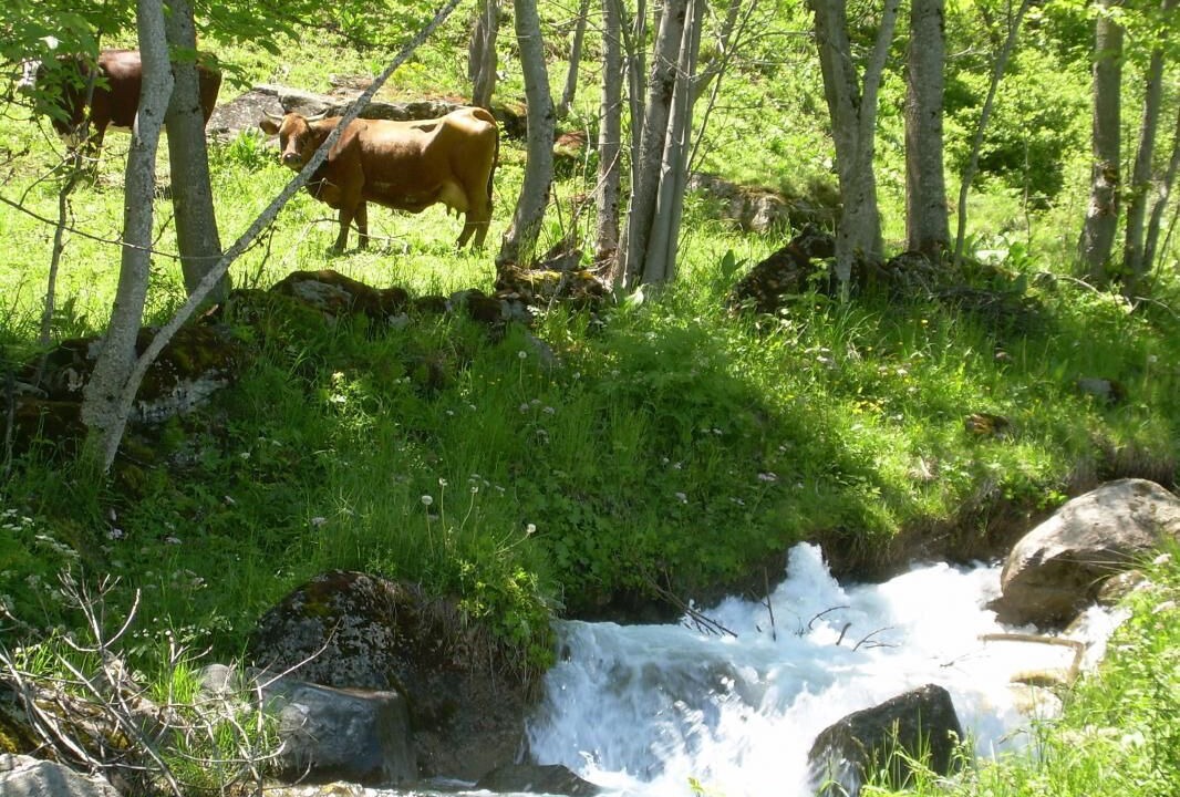 Photo of Outdoor in Saint-Jean-de-Belleville