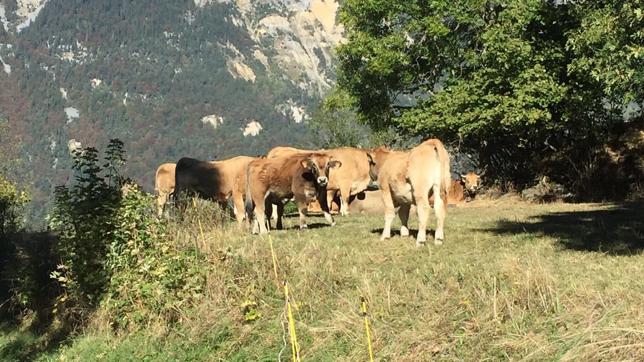 Photo of Outdoor in Saint-Michel-de-Maurienne