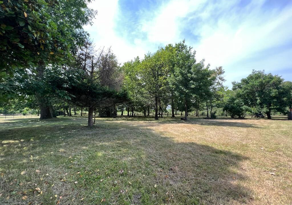 Photo of Outdoor in Roaillan