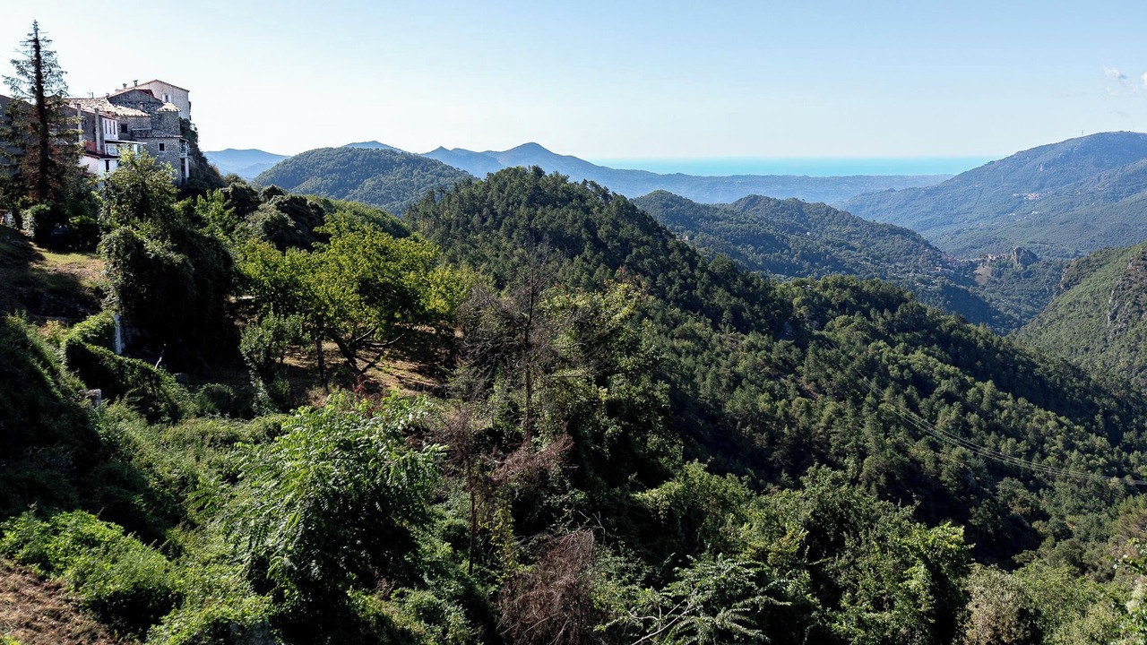 Photo of Outdoor in Revest-les-Roches