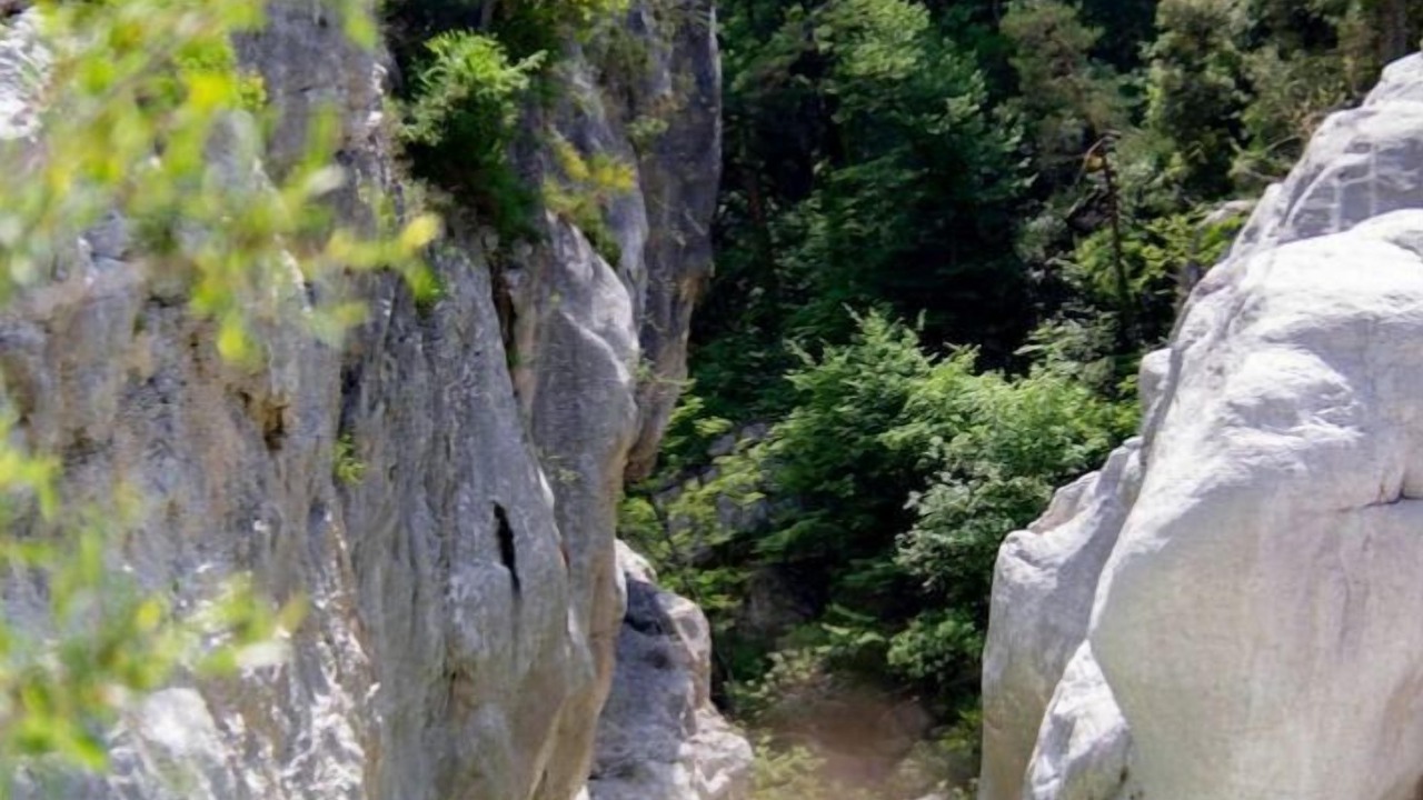 Photo of Others in Revest-les-Roches