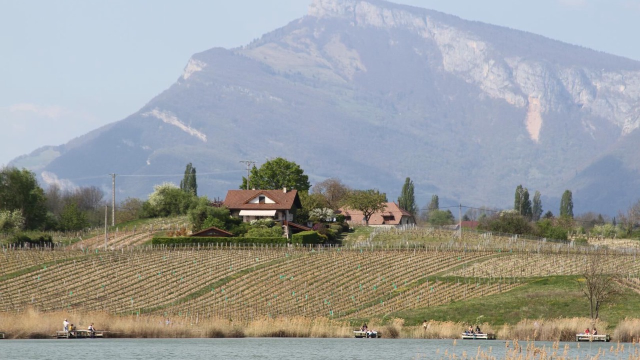 Photo of Others in Les Marches