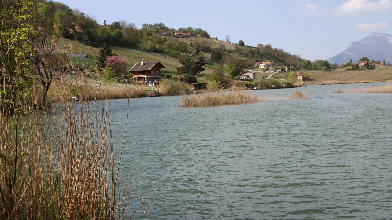 Photo of Others in Les Marches