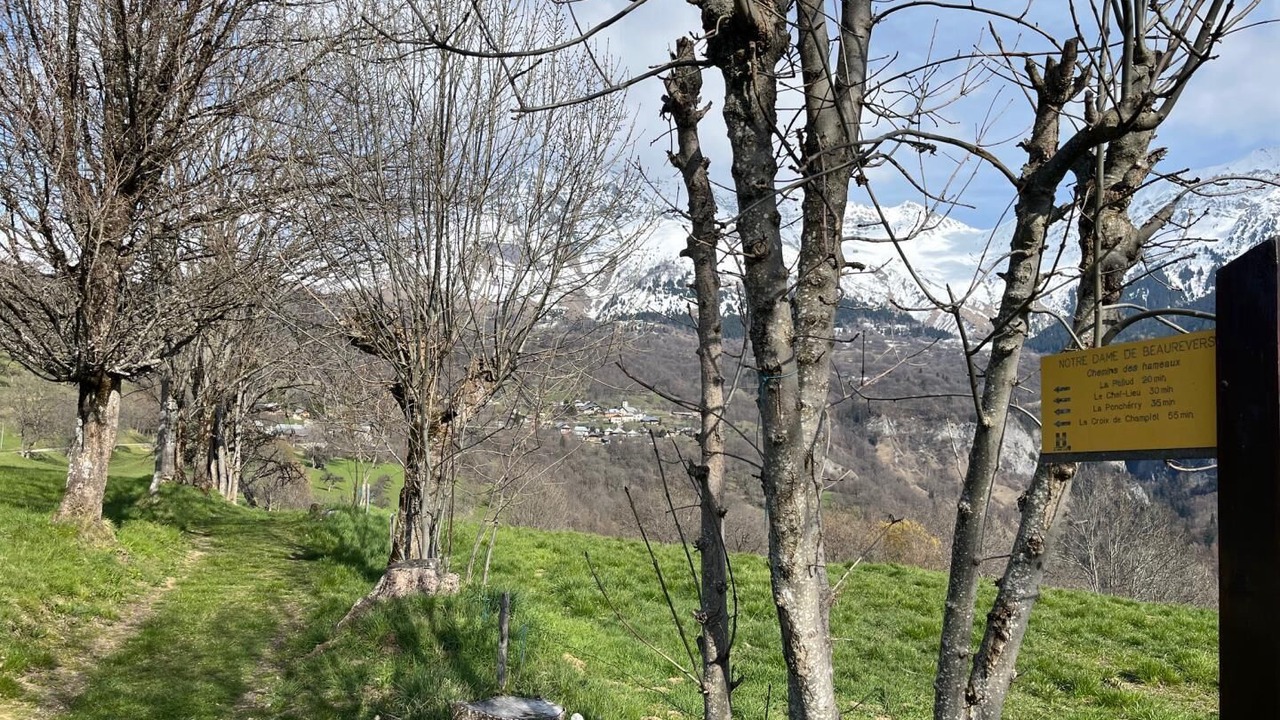 Photo of Outdoor in Montaimont