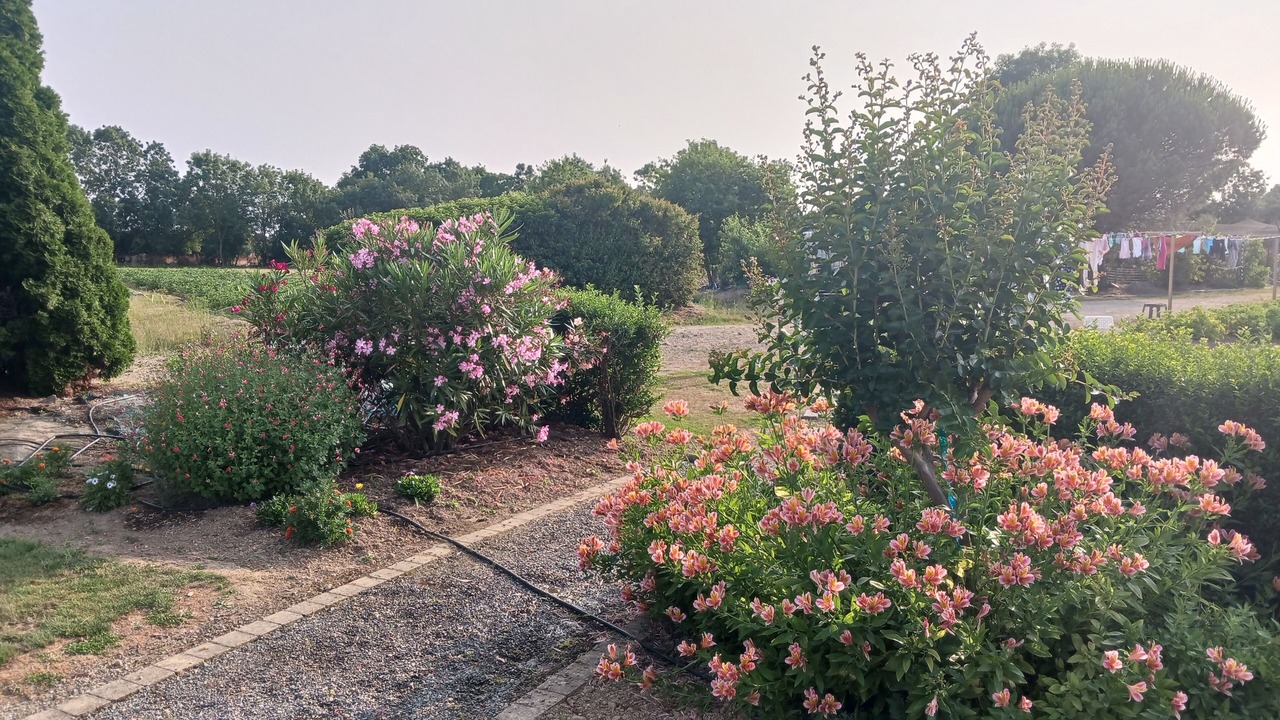 Photo of Outdoor in Saint-Lumine-de-Coutais