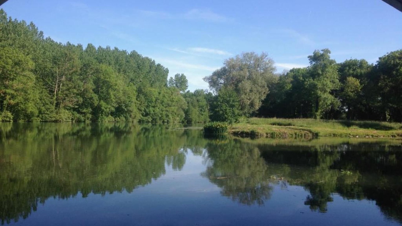 Photo of Others in Saint-Preuil