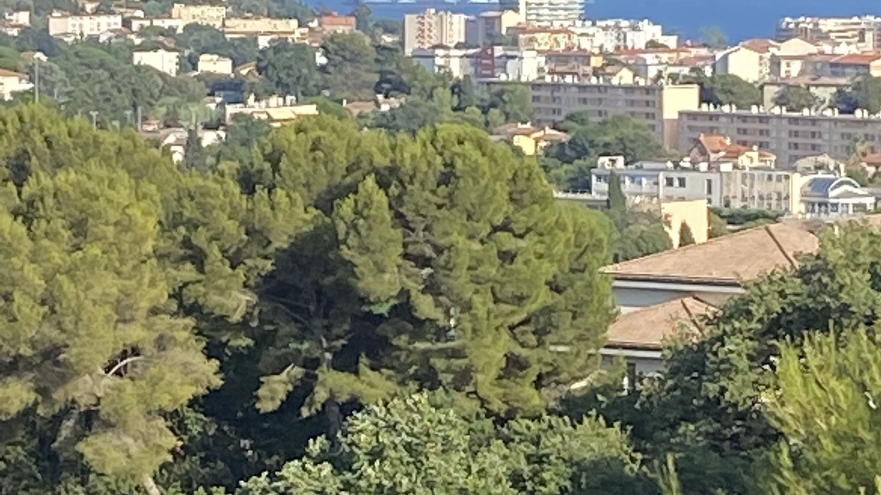 Photo of Outdoor in La Bocca Nord