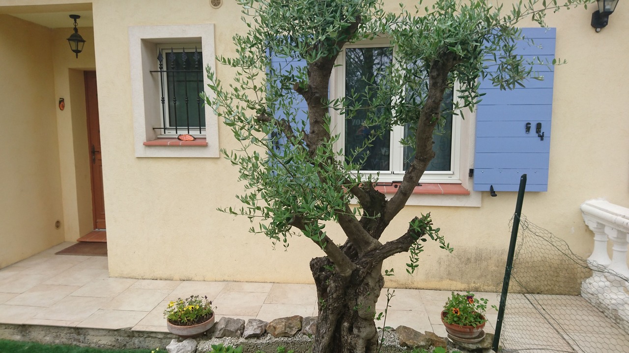 Photo of Outdoor in Sainte-Agnes