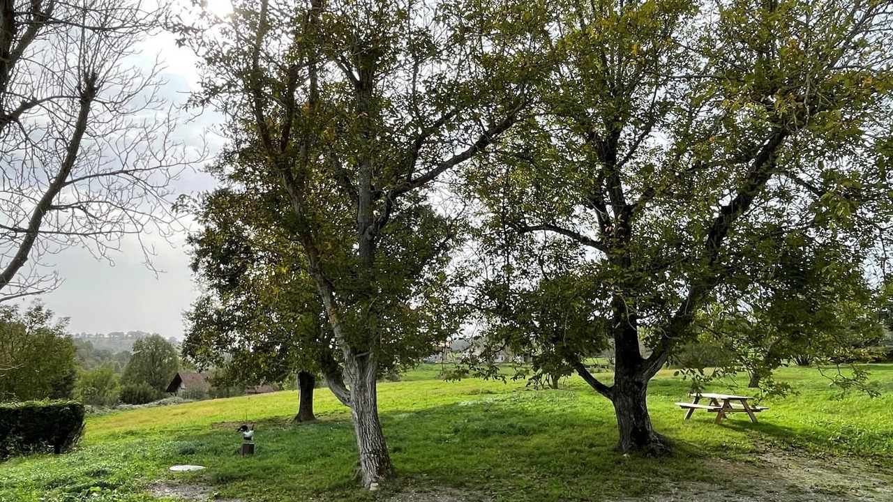 Photo of Outdoor in Beyrie-sur-Joyeuse