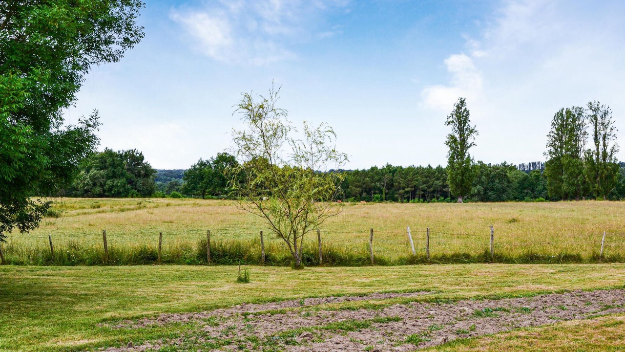 Photo of Outdoor in Laruscade