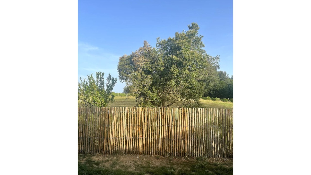 Photo of Outdoor in Castelviel