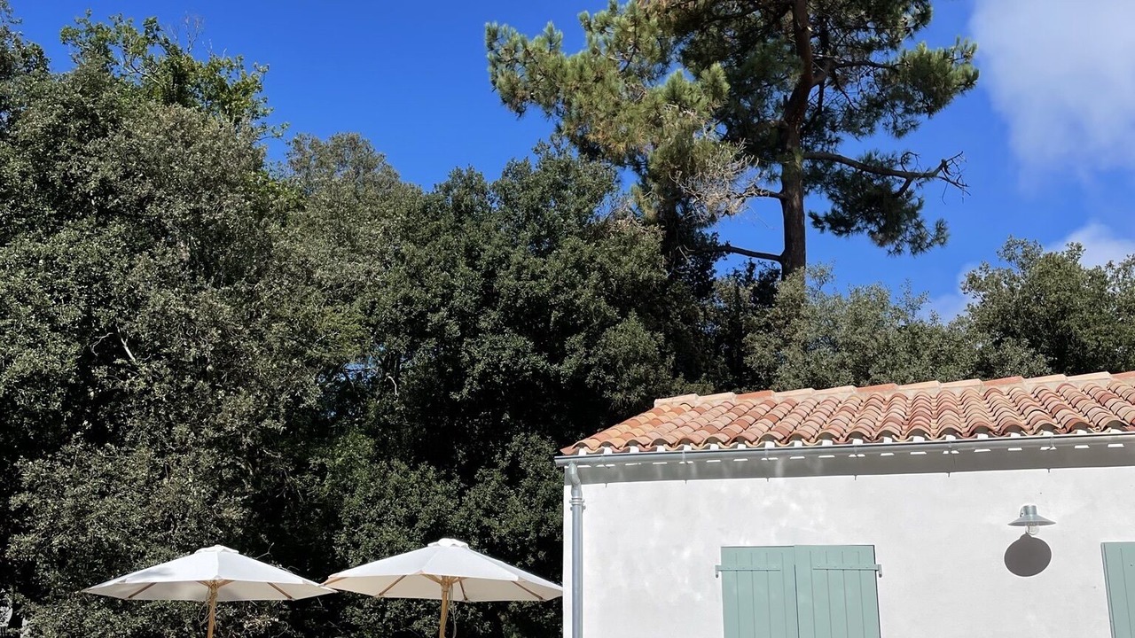 Photo of Outdoor in Dolus-d'Oleron