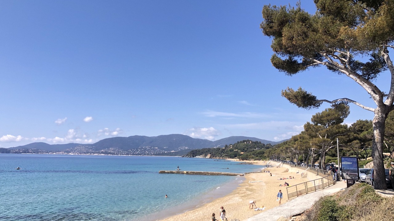 Photo of Others in Cavaliere