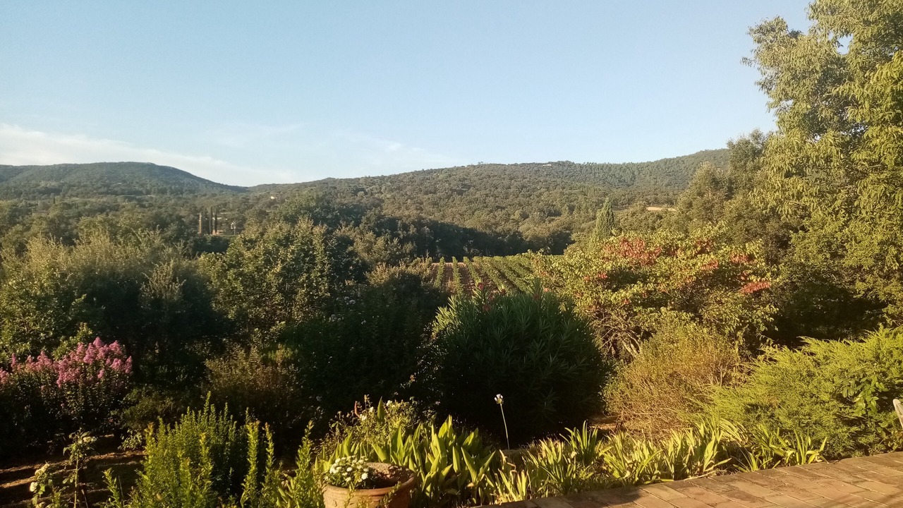 Photo of Outdoor in Cogolin