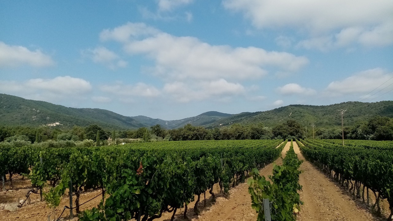 Photo of Outdoor in Cogolin