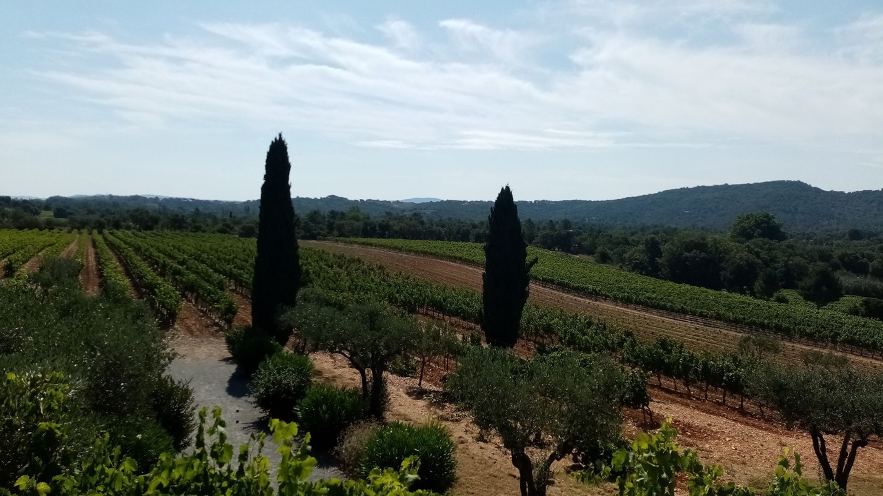 Photo of Outdoor in Cogolin