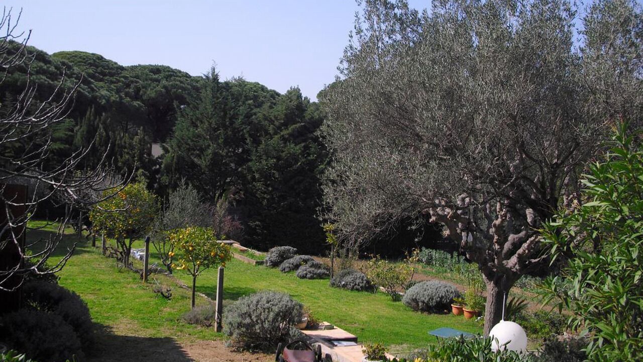 Photo of Outdoor in Sainte-Maxime
