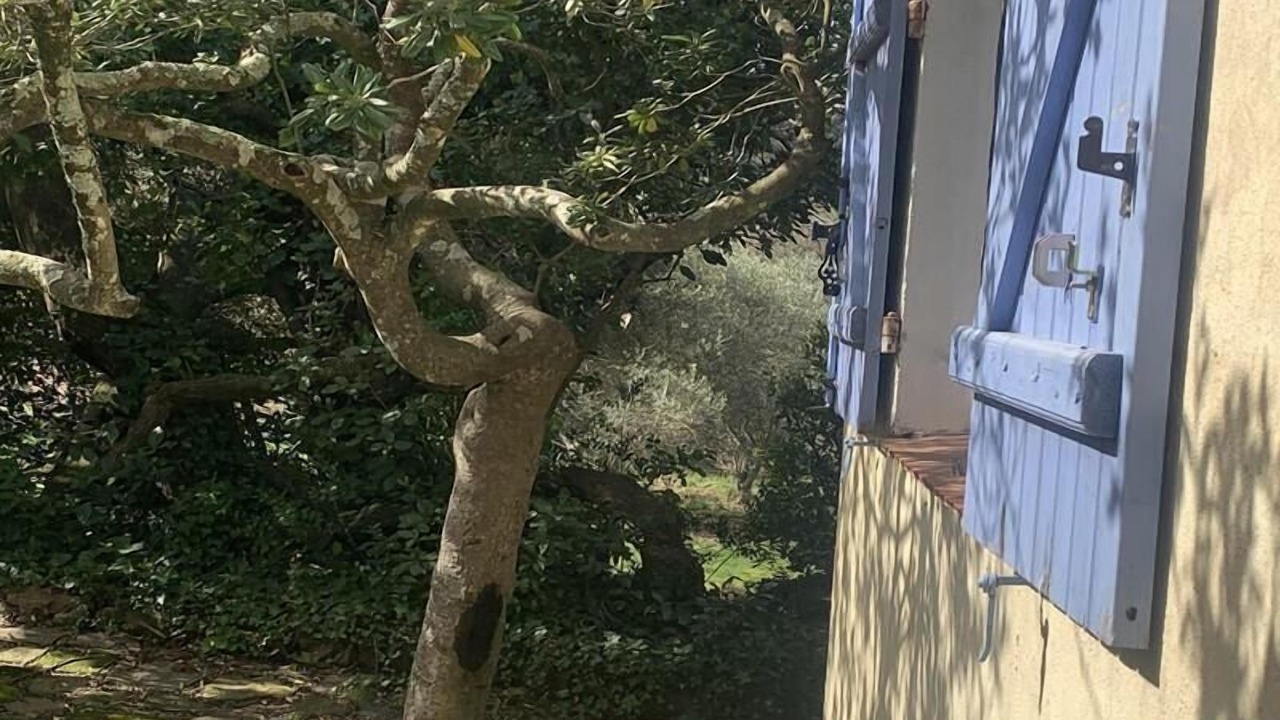 Photo of Outdoor in La Garde-Freinet
