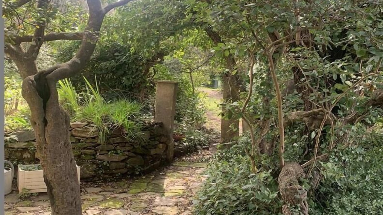 Photo of Outdoor in La Garde-Freinet