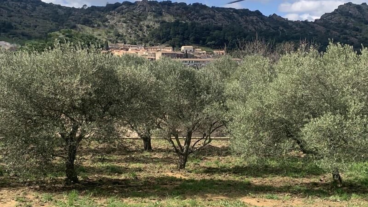 Photo of Others in La Garde-Freinet
