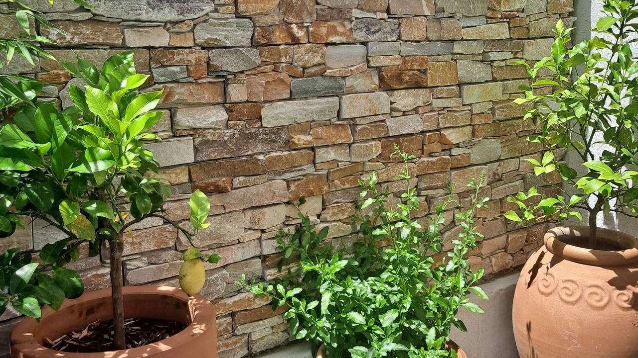 Photo of Outdoor in Le Redon