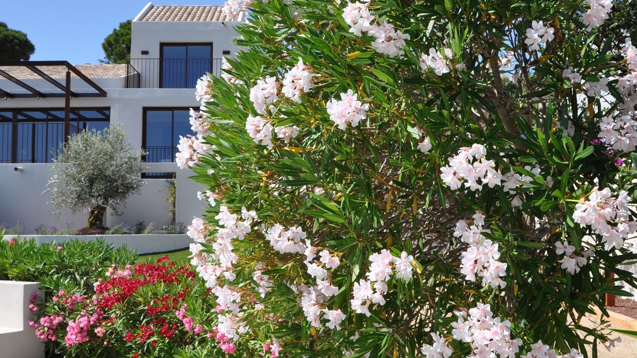 Photo of Outdoor in Les Issambres