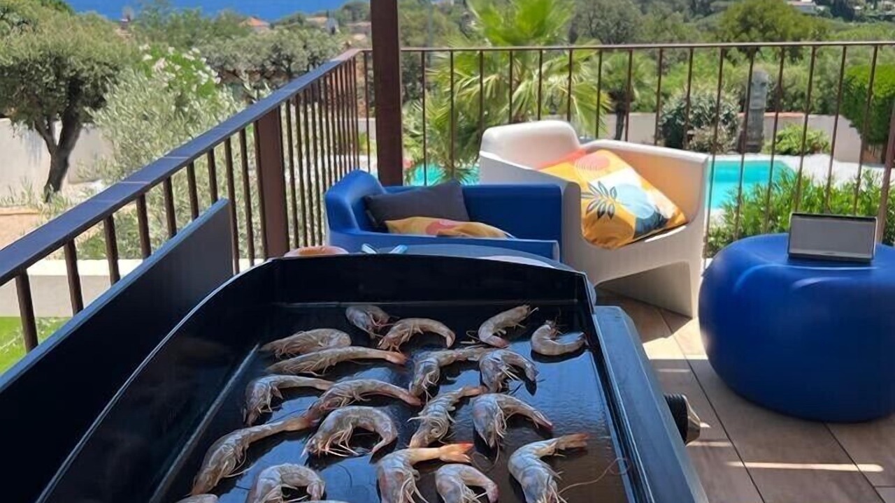 Photo of Outdoor in Les Issambres