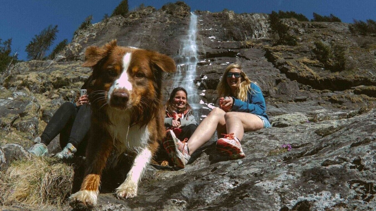 Photo of Others in Vaujany