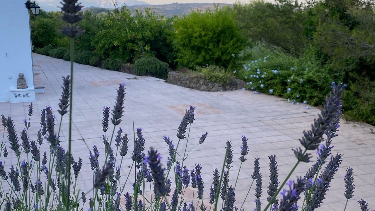 Photo of Outdoor in Biot