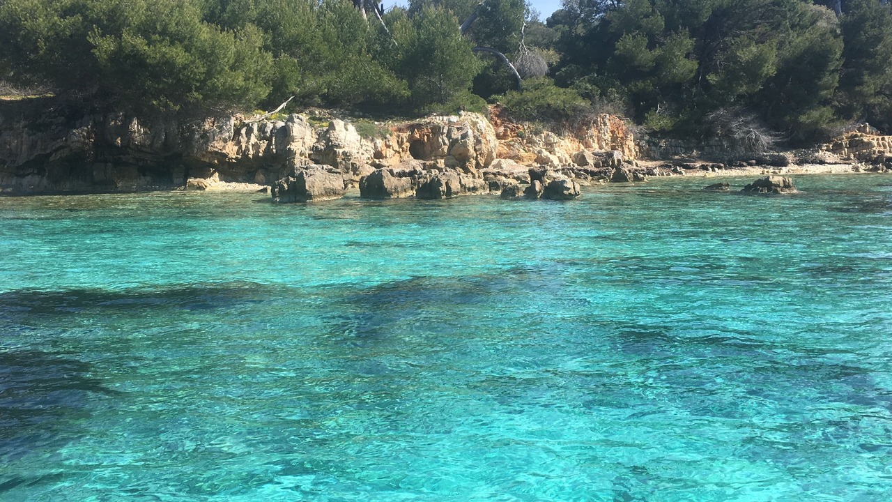 Photo of Others in Les Baraques