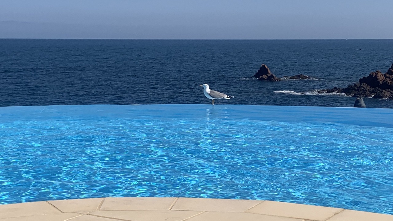 Photo of Outdoor in Le Trayas