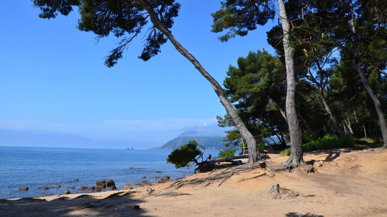 Photo of Others in Saint-Mandrier-sur-Mer