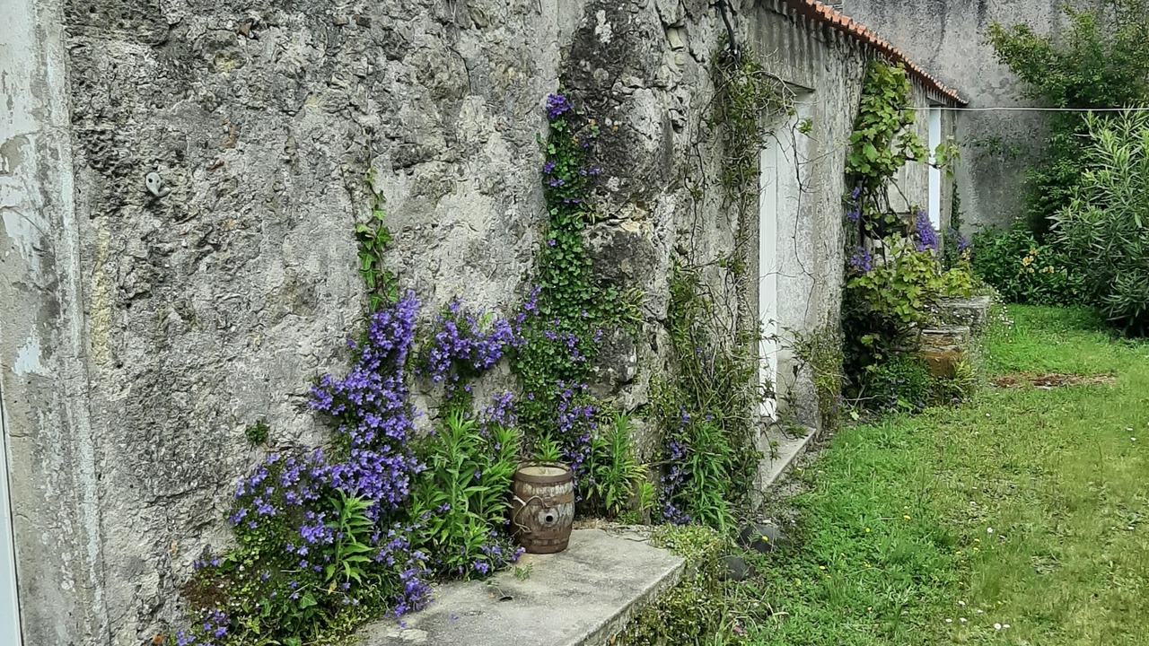 Photo of Outdoor in Bouin