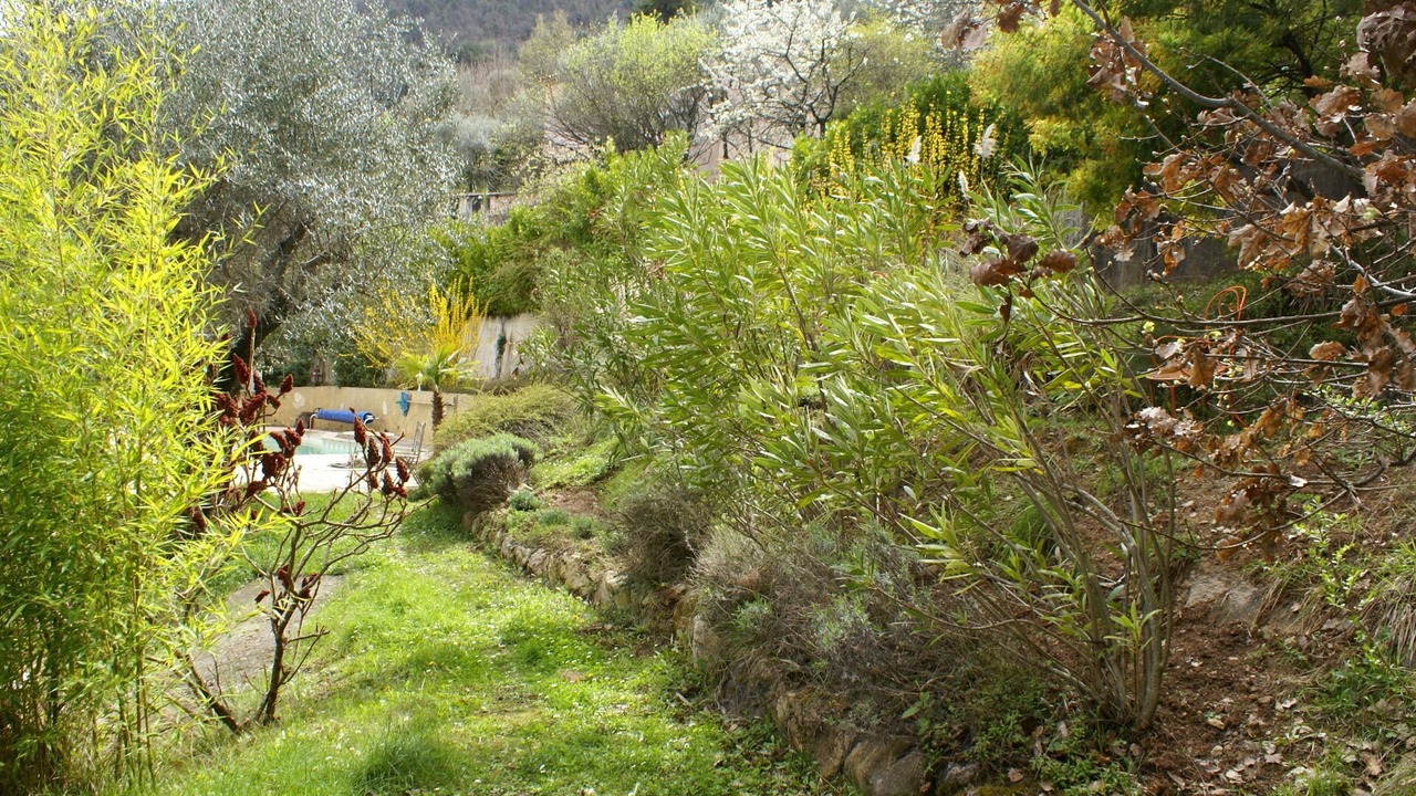Photo of Outdoor in Saint-Blaise