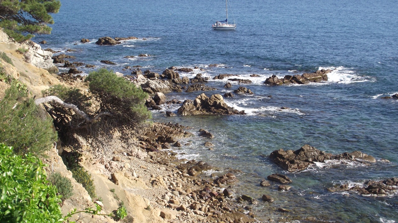 Photo of Others in Saint-Mandrier-sur-Mer